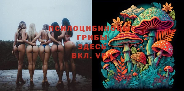 COCAINE Алексеевка