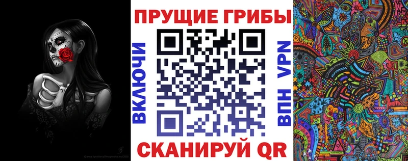 Купить Юрьевец Псилоцибиновые грибы Psilocybe